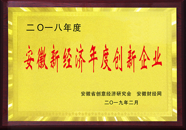 安徽新經(jīng)濟年度創(chuàng)新企業(yè).jpg