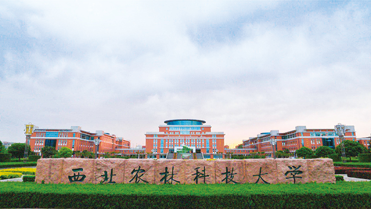 西北農(nóng)林科技大學.jpg
